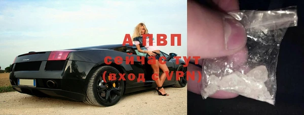 молекула духа Елизово