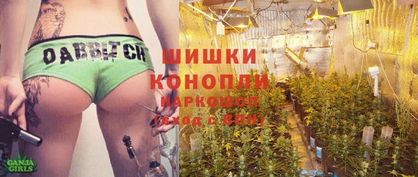 spice Дмитриев