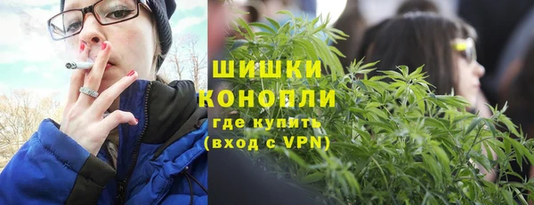 spice Дмитриев
