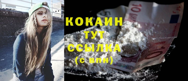 spice Дмитриев