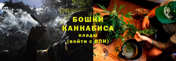 spice Дмитриев
