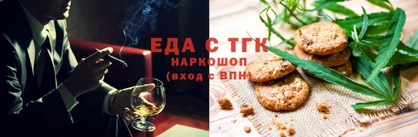 spice Дмитриев